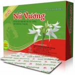 duocphamvinhgia.vn - nu vuong new
