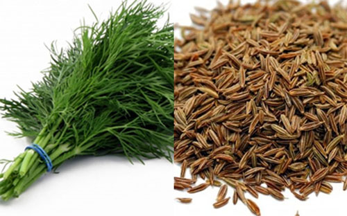 Sử dụng hạt thìa là tây để giảm béo