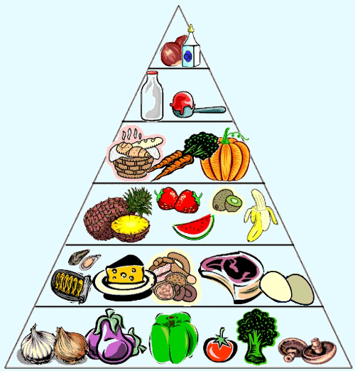 Phương pháp giảm cân Low carb