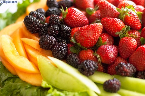 Hấp thu protein