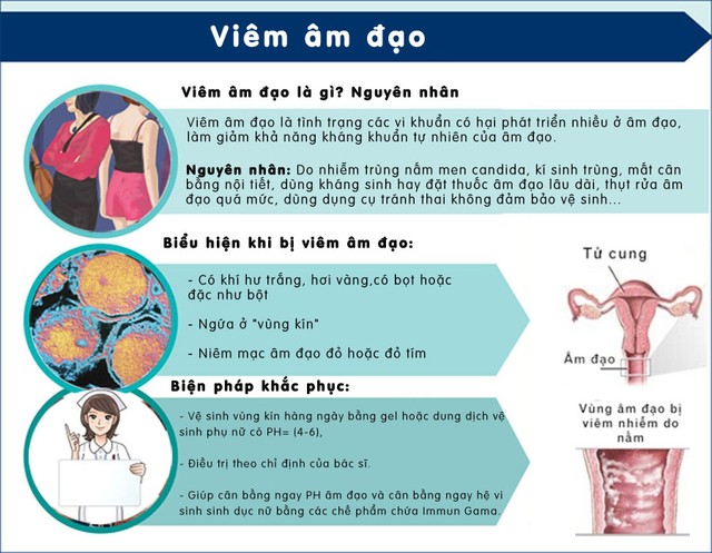 Giải mã những vấn đề liên quan đến bệnh viêm nhiễm phụ khoa