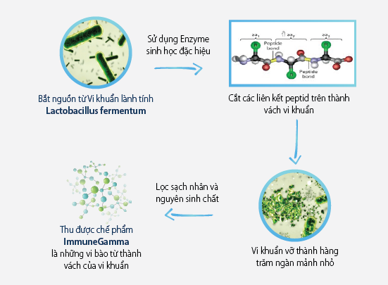 Immune Gamma – Tác dụng kép cho sức khỏe “vùng kín”