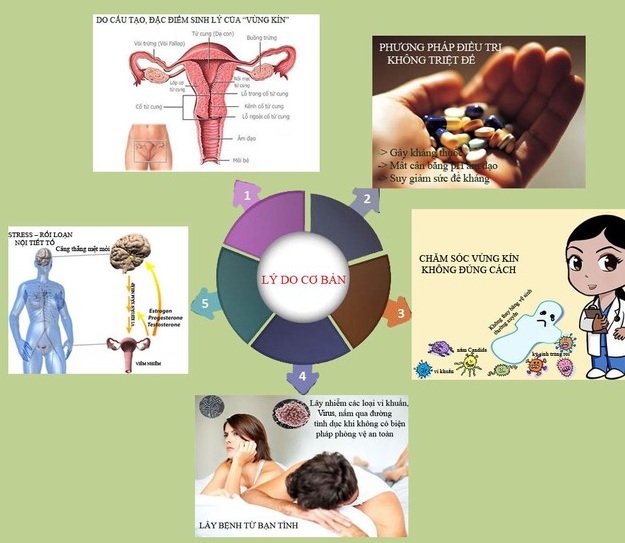 Lý do khiến “vùng kín” của chị em dễ bị viêm nhiễm