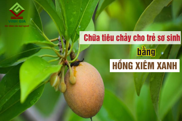 Cách chữa tiêu chảy cho trẻ sơ sinh bằng hồng xiêm xanh