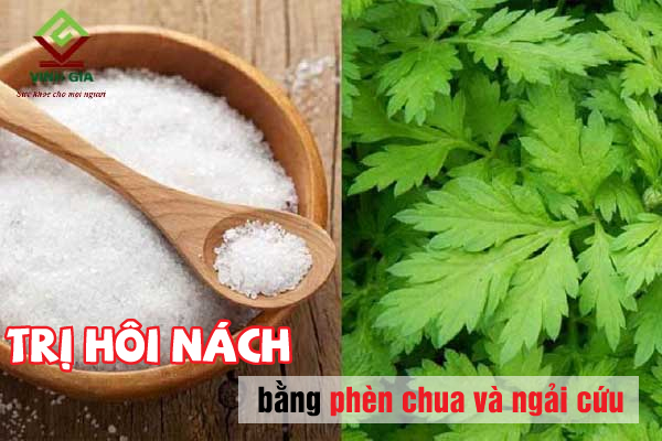 Mẹo dân gian dùng ngải cứu và phèn chua chữa hôi nách lành tính nhất