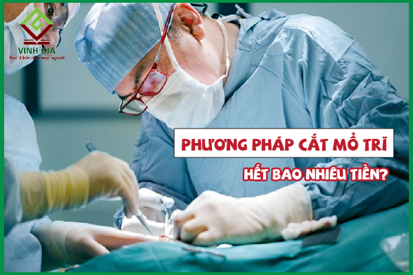 Người bệnh quan tâm: Chi phí cắt trĩ hết bao nhiêu tiền?