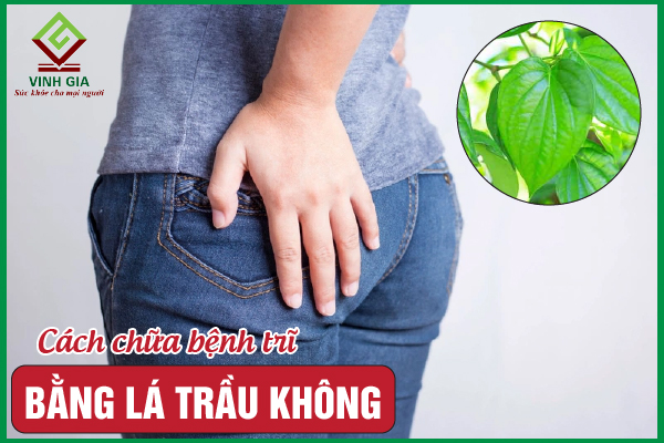 Làm dịu triệu chứng bệnh trĩ bằng lá trầu không liệu có thực sự tốt?