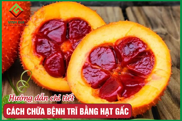 Dùng hạt gấc làm dịu khó chịu bệnh trĩ – không phải ai cũng biết