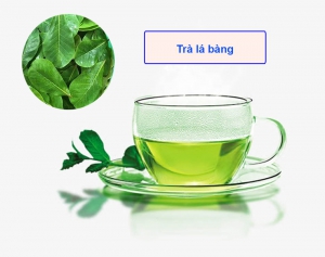 Trị trĩ bằng trà lá bàng vừa đơn giản lại hiệu quả Trị trĩ bằng trà lá bàng vừa đơn giản lại hiệu quả