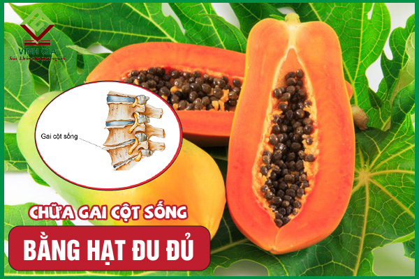 3 Cách cải thiện gai cột sống bằng hạt đu đủ dễ áp dụng