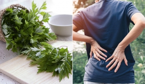Ngải cứu, Bưởi và Chanh điều trị đau lưng hiệu quả Ngải cứu, Bưởi và Chanh điều trị đau lưng hiệu quả
