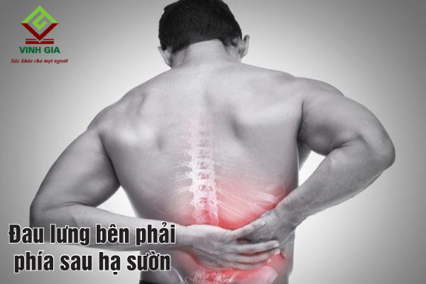 Đau lưng bên phải phía sau hạ sườn do bệnh về thận Đau lưng bên phải phía sau hạ sườn do bệnh về thận