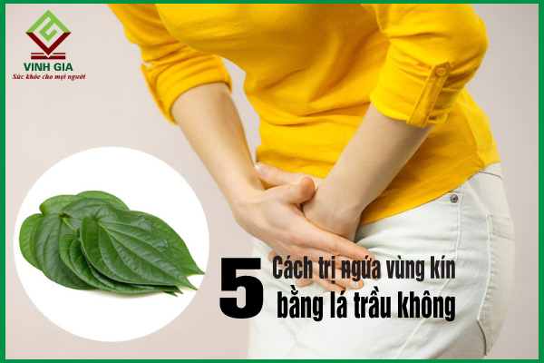 5 cách trị ngứa vùng kín bằng lá trầu không