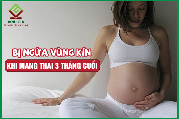 Vì sao bà bầu ngứa vùng kín khi mang thai 3 tháng cuối?
