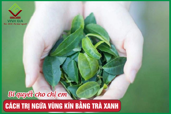 6 Cách trị ngứa vùng kín bằng trà xanh hiệu quả nhất