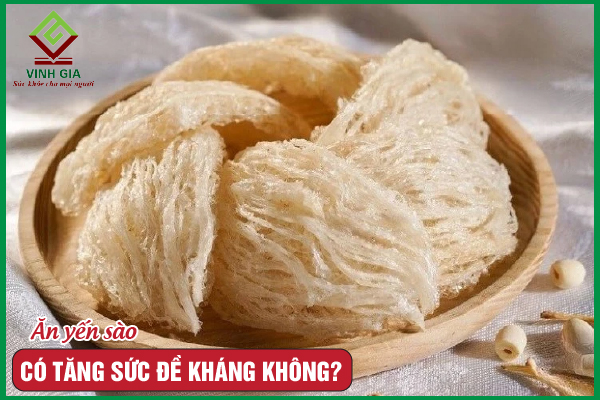 [GIẢI ĐÁP] Ăn yến có tăng sức đề kháng hay không?