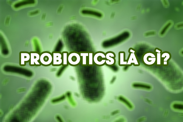 Probiotic và vai trò không thể thay thế ở hệ tiêu hóa