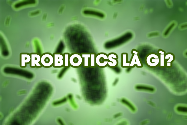Probiotic là gì? Vai trò của lợi khuẩn Probiotics đối với hệ tiêu hóa