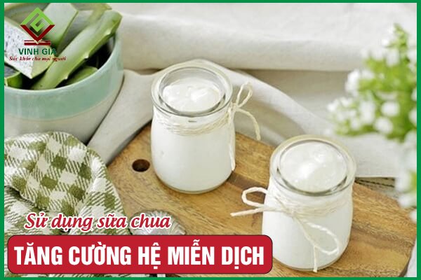 Lý do sữa chua giúp tăng cường hệ miễn dịch hiệu quả