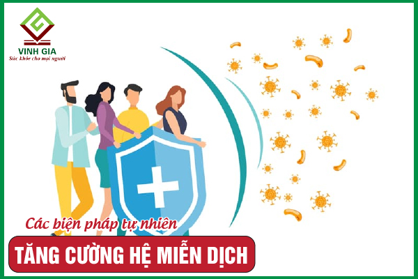 10+ Cách tăng cường hệ miễn dịch tự nhiên cho cơ thể