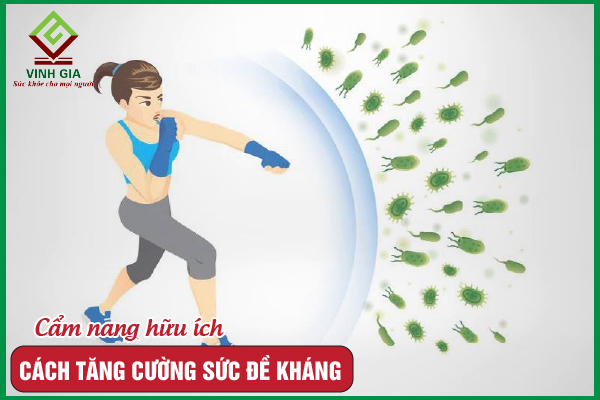 10+ Cách tăng cường sức đề kháng cho cơ thể tốt nhất