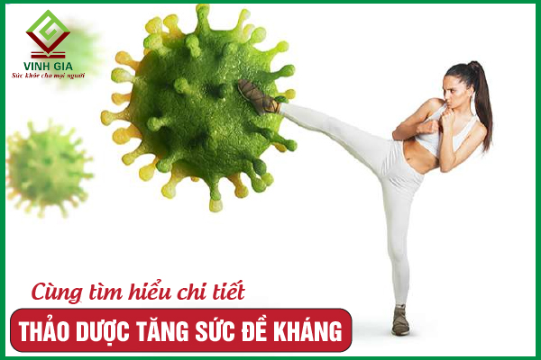 Mách bạn 12 thảo dược tăng cường hệ miễn dịch kháng virus