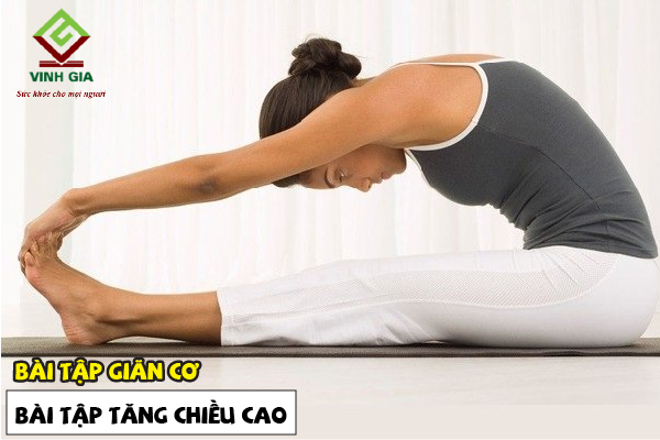 Bài tập giãn cơ giúp tăng trưởng chiều cao nhanh chóng