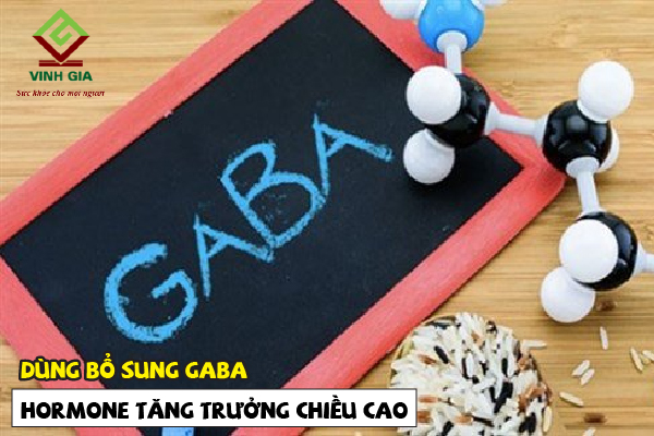 Bổ sung GABA kích thích hormone tăng trưởng chiều cao