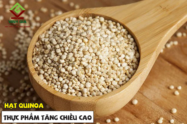 Hạt quinoa giúp tăng trưởng chiều cao vượt bậc