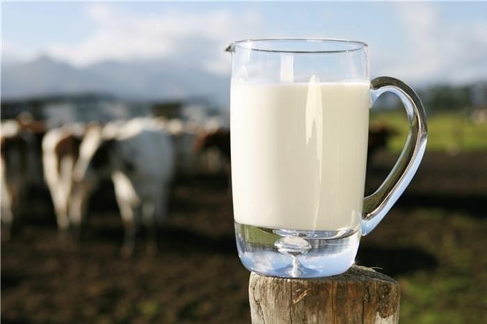 Sữa non Colostrum của Úc tốt nhất – Cách sử dụng và giá bán hiện nay