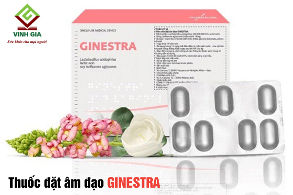 Thuốc dùng cho điều trị viêm âm đạo dạng đặt GINESTRA Thuốc dùng cho điều trị viêm âm đạo dạng đặt GINESTRA