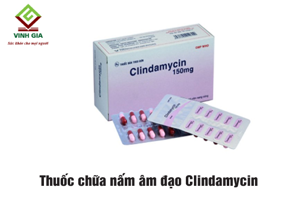 Thuốc trị nấm âm đạo Clindamycin được chị em dùng nhiều Thuốc trị nấm âm đạo Clindamycin được chị em dùng nhiều