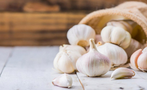 Tỏi với sữa chua không đường chữa nấm Candida Tỏi với sữa chua không đường chữa nấm Candida