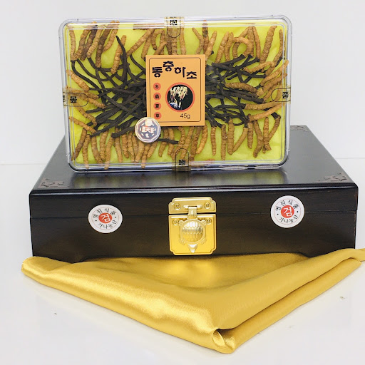 Đông trùng hạ thảo Hàn Quốc loại nào tốt nhất?