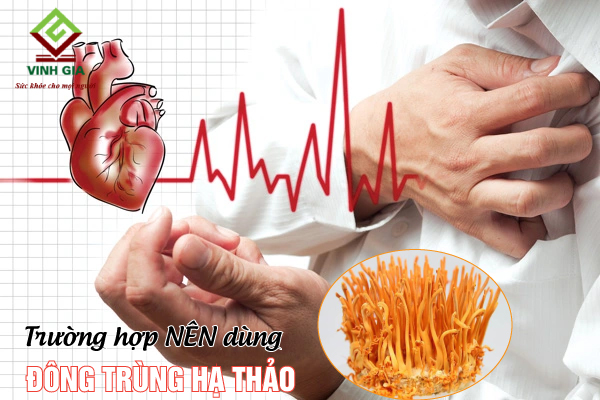 Người bị mắc bệnh tim mạch, suy nhược cơ thể nên dùng đông trùng hạ thảo Người bị mắc bệnh tim mạch, suy nhược cơ thể nên dùng đông trùng hạ thảo