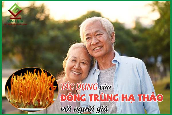 Top 8 tác dụng của đông trùng hạ thảo với người già