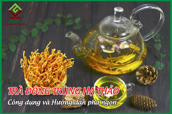 Trà đông trùng hạ thảo và những lợi ích tuyệt vời