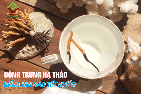 Uống đông trùng hạ thảo vào lúc nào là hiệu quả tốt nhất? Uống đông trùng hạ thảo vào lúc nào là hiệu quả tốt nhất?