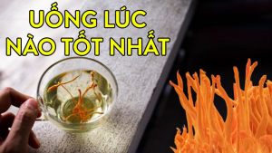 Uống đông trùng hạ thảo vào lúc nào là tốt nhất? Và uống như thế nào?