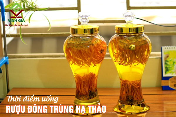 Uống rượu đông trùng hạ thảo tốt nhất là 1 ly trước khi đi ngủ Uống rượu đông trùng hạ thảo tốt nhất là 1 ly trước khi đi ngủ