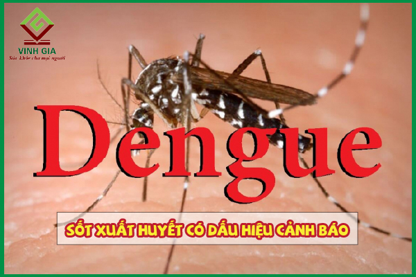 Những dấu hiệu cảnh báo nguy hiểm của sốt xuất huyết