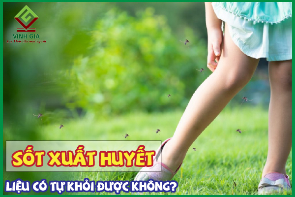 Bệnh sốt xuất huyết có tự khỏi được không?