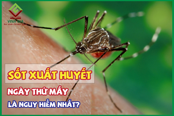 Sốt xuất huyết ngày thứ mấy là nguy hiểm nhất?