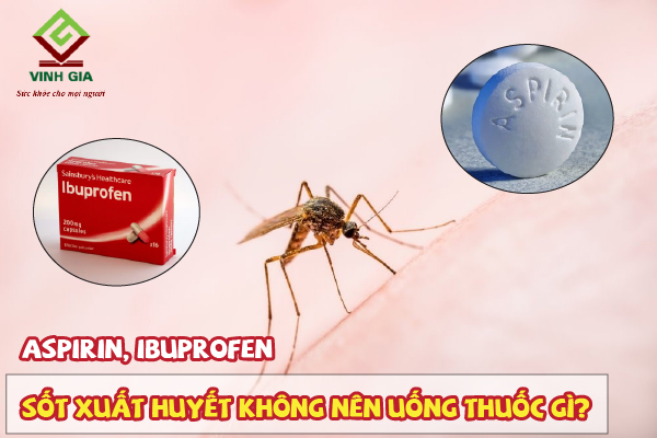 Bị sốt xuất huyết không nên uống thuốc Aspirin và Ibuprofen Bị sốt xuất huyết không nên uống thuốc Aspirin và Ibuprofen