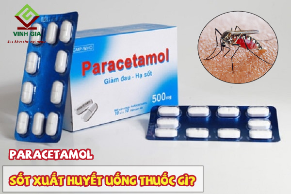 Bị sốt xuất huyết nên uống thuốc hạ sốt Paracetamol