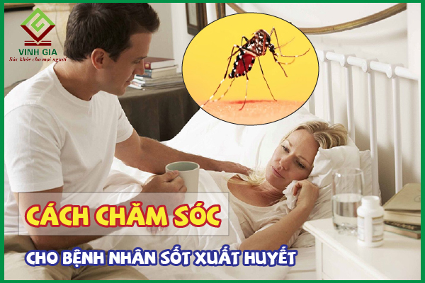 Cách chăm sóc bệnh nhân sốt xuất huyết tại nhà