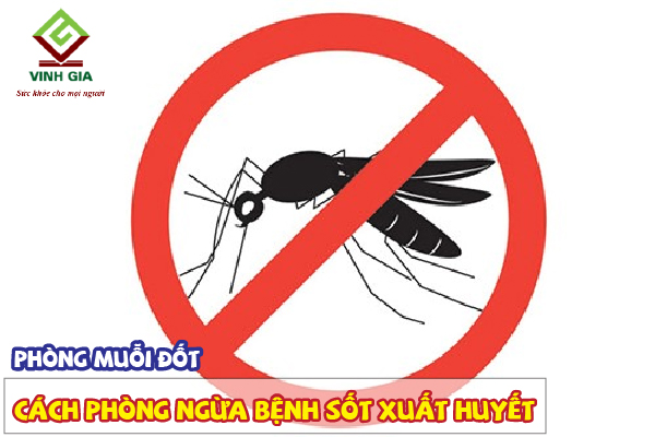 Hạn chế bị muỗi đốt sẽ phòng ngừa được bệnh sốt xuất huyết