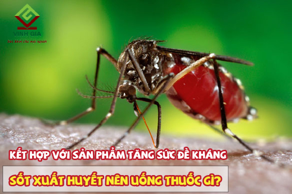 Kết hợp với sản phẩm tăng cường sức đề kháng phòng ngừa bệnh sốt xuất huyết Kết hợp với sản phẩm tăng cường sức đề kháng phòng ngừa bệnh sốt xuất huyết