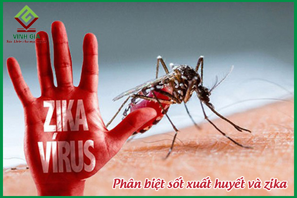 Phân biệt sốt xuất huyết và zika như thế nào?
