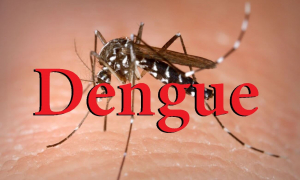 Sốt xuất huyết dengue